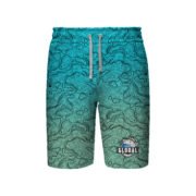 Board Shorts