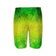 Board Shorts - Image 2