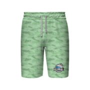 Board Shorts
